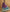 Purple Silk Woven Design Saree With Unstitched Blouse Piece - Akshita - Distacart