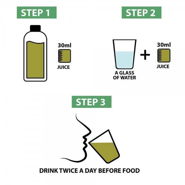 Vitro Naturals Certified Organic Aloe Vera Amla Juice - Distacart