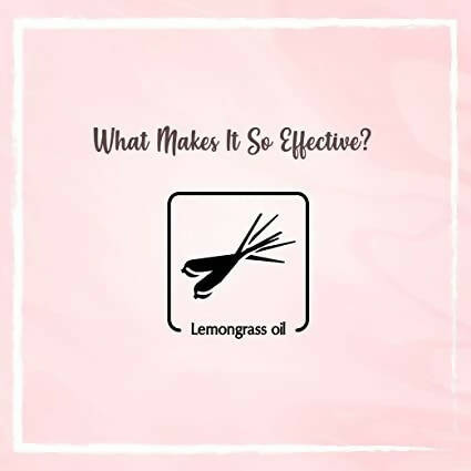 The Beauty Co. Lemon Grass Essential Oil - Distacart