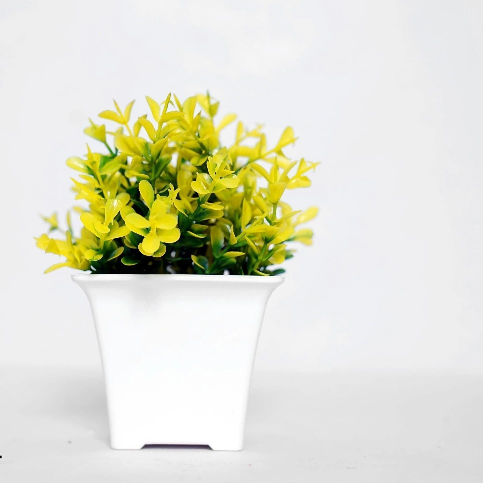 Chahat Decorative Artificial Flower plant