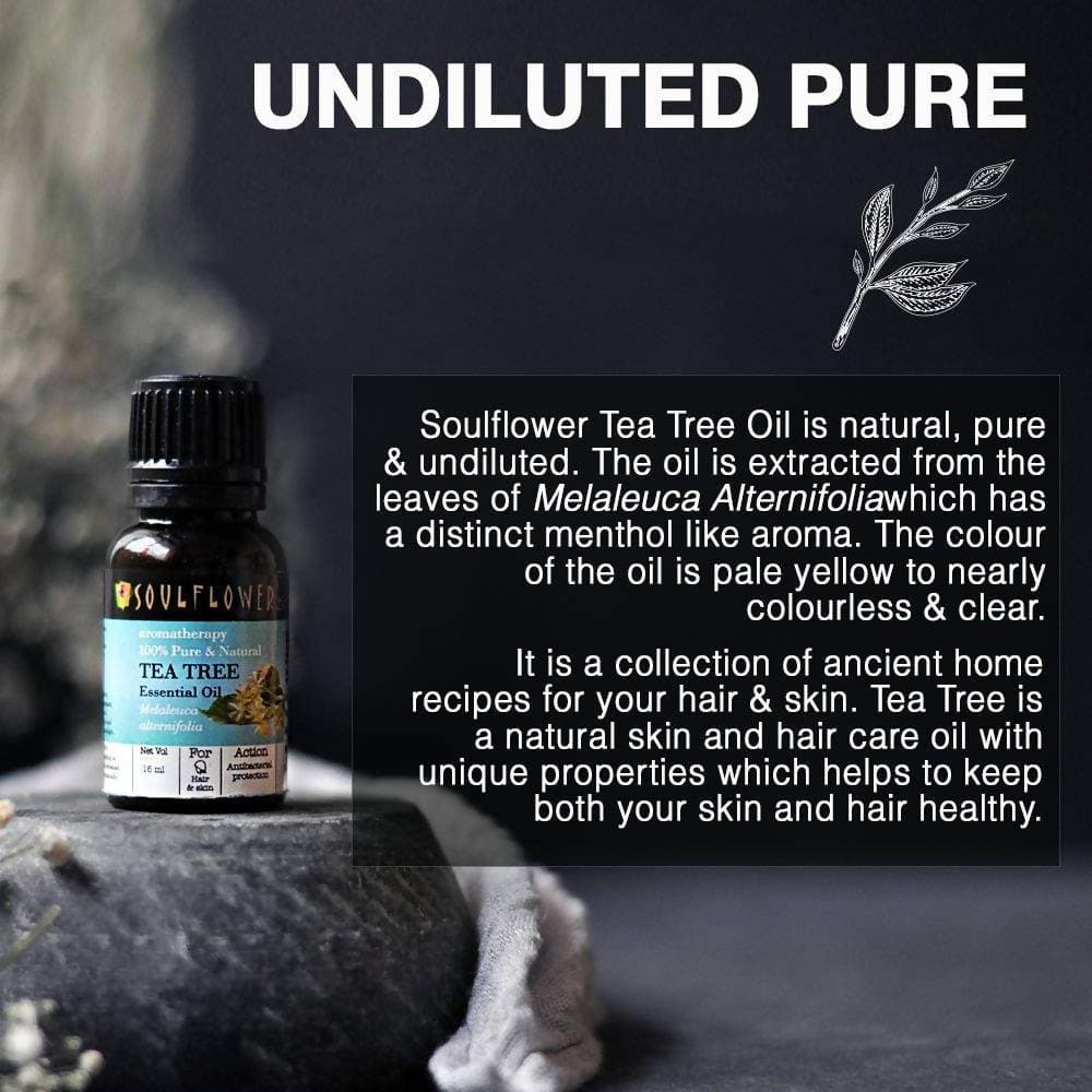Soulflower Tea Tree Essential Oil - Distacart