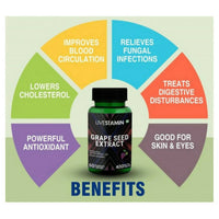 Thumbnail for Livestamin Grape Seed Extract Capsules - Distacart
