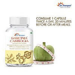 Thumbnail for Dr. Morepen Garcinia Cambogia Capsules - Distacart