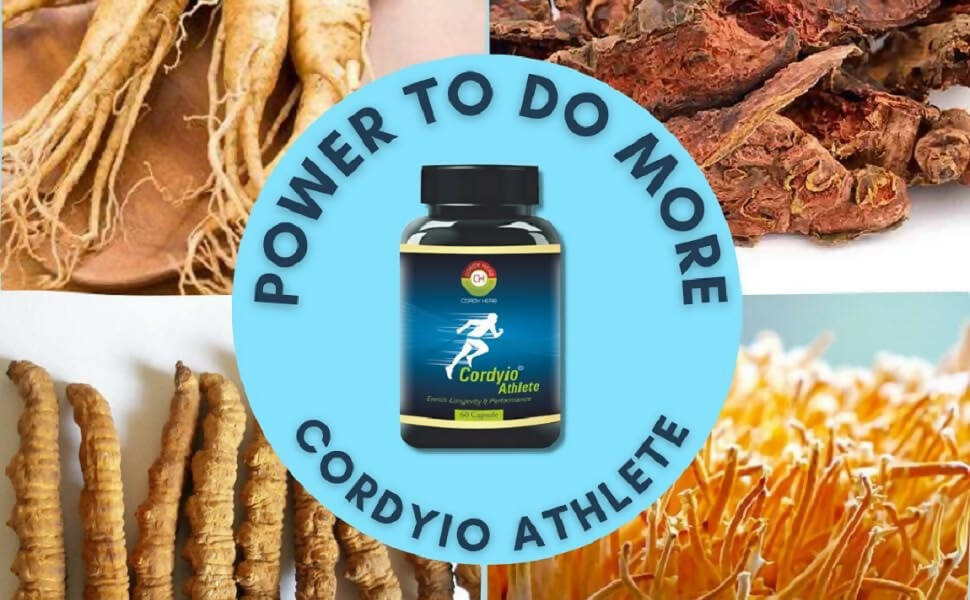 Cordy Herb Cordyio Athlete Capsules - Distacart