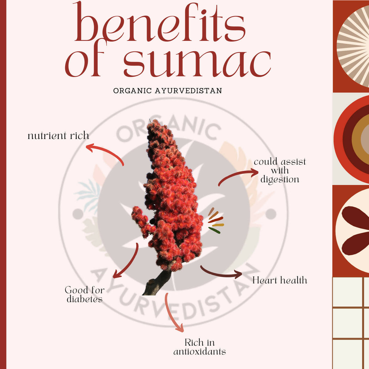 Organic Ayurvedistan Sumac Powder - Distacart