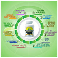 Thumbnail for Sushrut Ayurved Good Health Kalonji Ext. Black Seed Capsules - Distacart