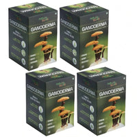 Thumbnail for Nature Sure Ganoderma Ling Zhi Reishi Mushroom Capsules