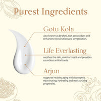 Thumbnail for Shankara Rich Repair Moisturizer For Vata