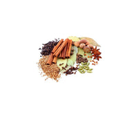 Thumbnail for Nanak Premium Garam Masala,100 gm - Distacart
