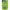 SBL Homeopathy Bio-Combination 6 Tablet