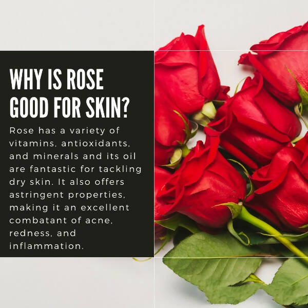 Organicos Rose Face Cleanser - Distacart