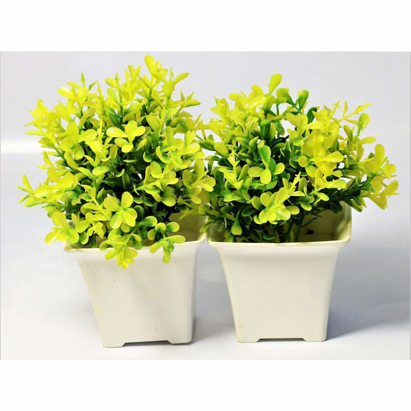 Chahat Decorative Artificial Flower Plant 2 Piece Combo