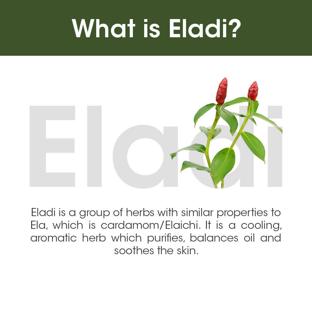 TAC - The Ayurveda Co. Eladi Sunscreen, Matifying SPF 50 & PA+++, for Women & Men - Distacart