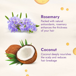 Thumbnail for Parachute Advansed Rosemary enriched Coconut Hair Oil - Distacart