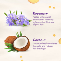 Thumbnail for Parachute Advansed Rosemary enriched Coconut Hair Oil - Distacart