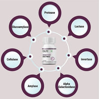 Thumbnail for Inlife Digestive Enzymes Tablets