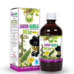 Thumbnail for Basic Ayurveda Jamun Karela Herbal Mix Juice