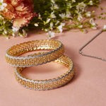 Thumbnail for Gold-Plated Alloy American Diamond Broad Bangle Set - The Pari - Distacart
