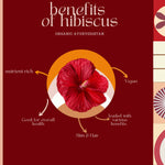 Thumbnail for Organic Ayurvedistan Hibiscus Powder - Distacart