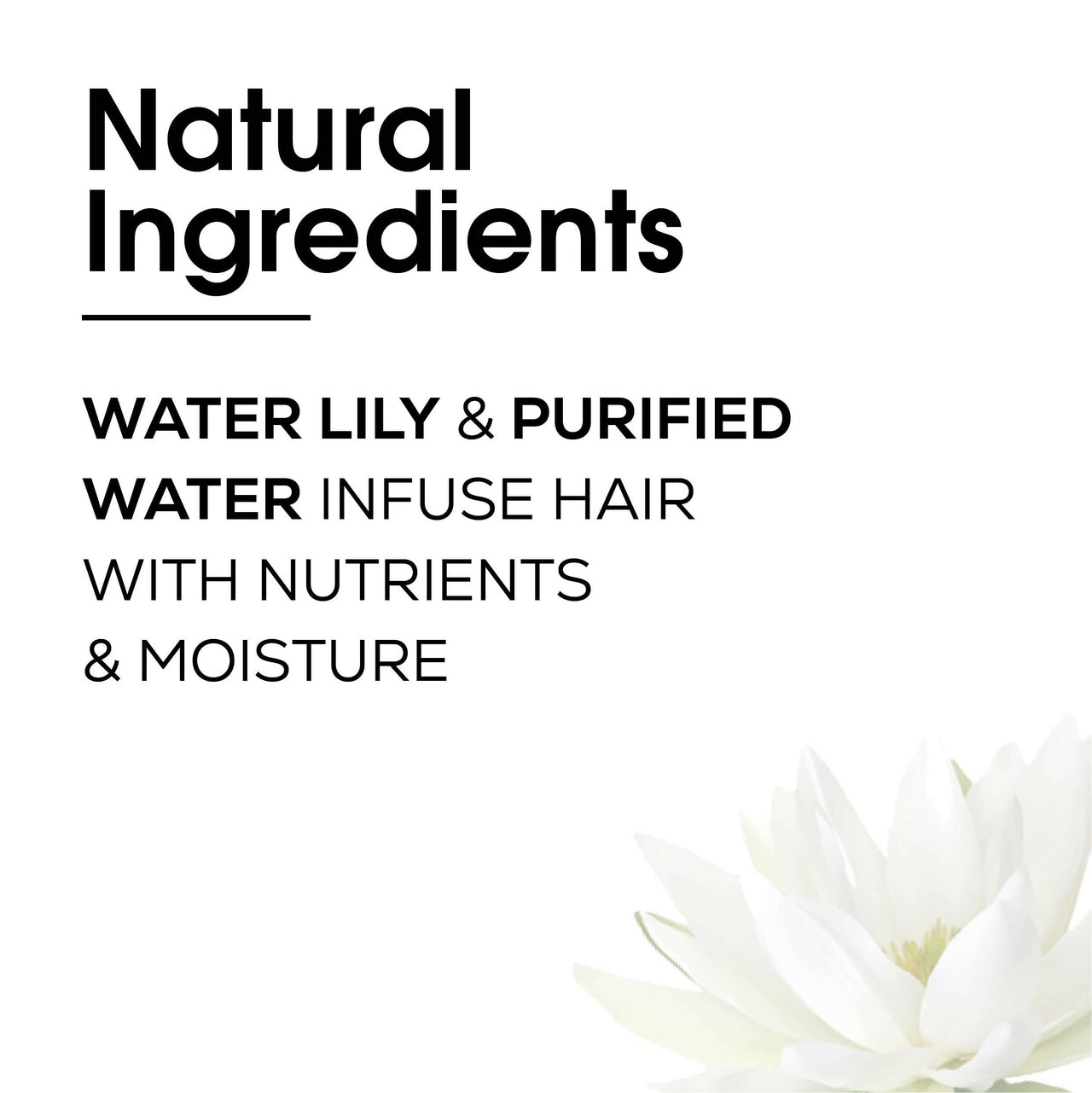 L'Oreal Paris Professionnel Hair SPA Deep Nourishing Conditioner for Dry Hair with Water Lily - Distacart