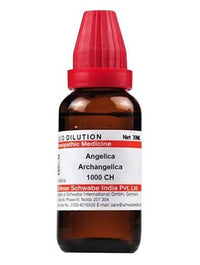 Thumbnail for Dr. Willmar Schwabe India Angelica Archangelica Dilution