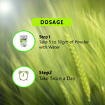 Thumbnail for Syndy Pharma Organic Wheat Grass Powder - Distacart