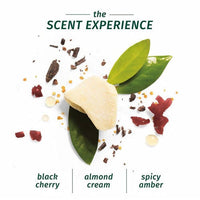 Thumbnail for Herbal Essences Strength Whipped Cocoa Butter Conditioner - Distacart