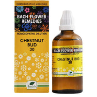 Thumbnail for New Life Homeopathy Bach Flower Remedies Chestnut Bud Dilution