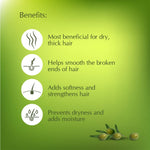 Thumbnail for Dwibhashi Olive Oil