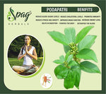 Thumbnail for Spag Herbals Podapatri Powder - Distacart