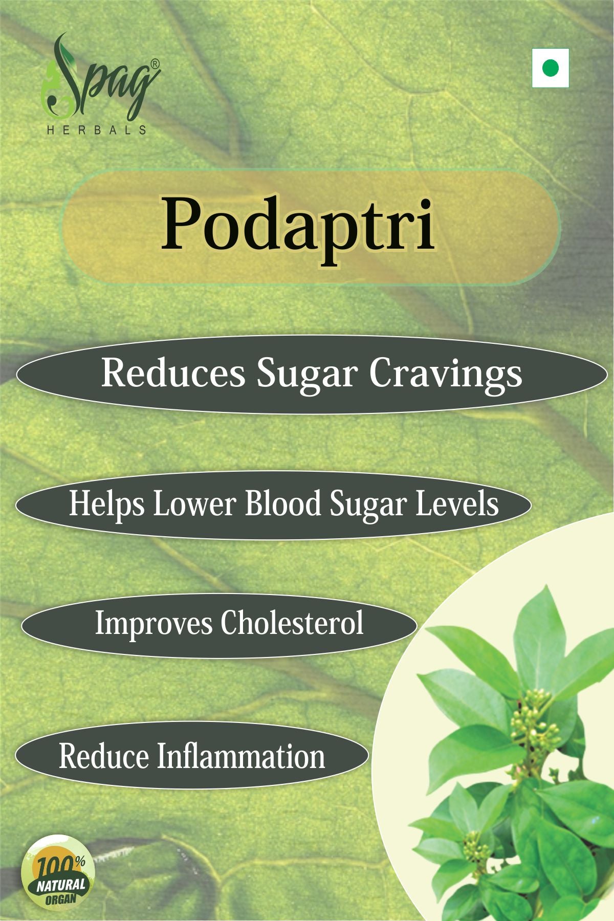 Spag Herbals Podapatri Powder - Distacart