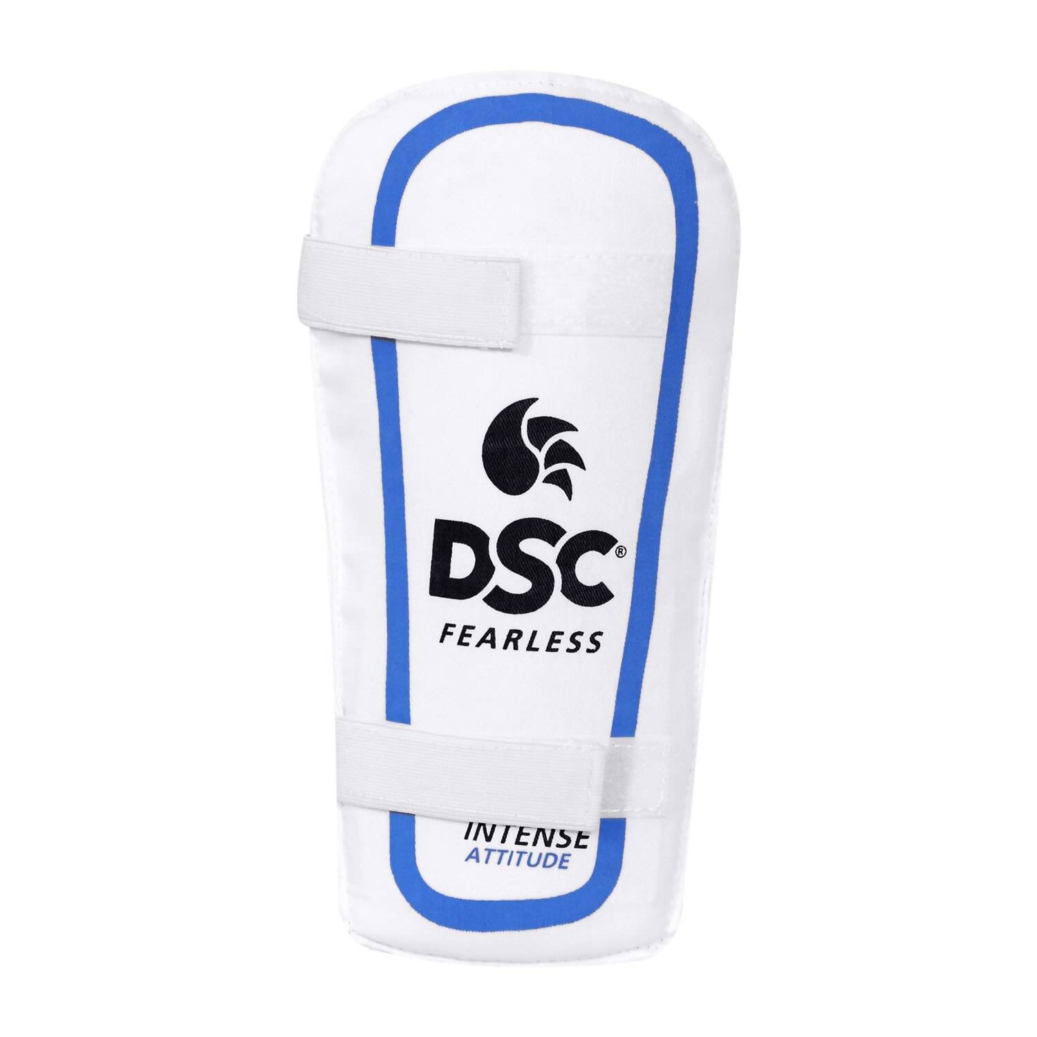 DSC Economy Kashmir Willow Cricket Kit (Size 5) - Distacart