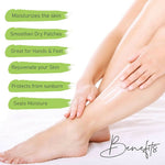 Thumbnail for Old Tree Natural Body Butter for Deep Nourishing - Distacart