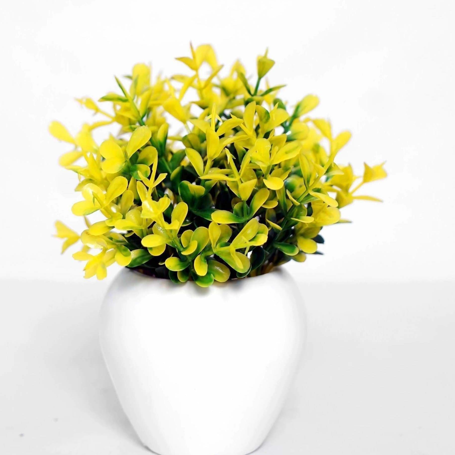 Chahat Decorative Artificial Flower plant