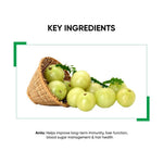 Thumbnail for Dr. Vaidya's Amla Juice - Distacart