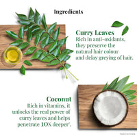 Thumbnail for Parachute Advansed Curry Leaves Hair Oil - Distacart