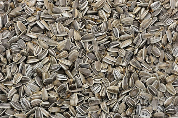 Freshon Organic Sunflower Seeds - Distacart