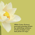 Thumbnail for Frog Hair-Fall Control Bundle Shampoo 250 ml & Conditioner 250 ml