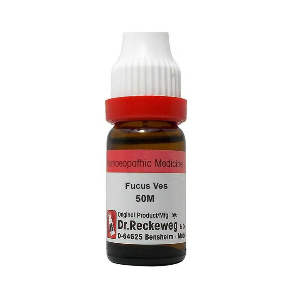 Dr. Reckeweg Fucus Ves Dilution - Distacart