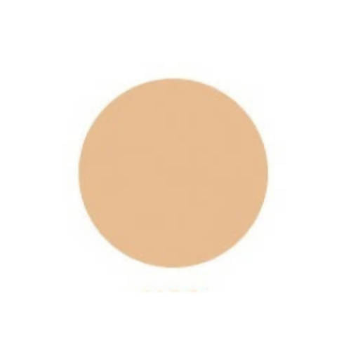 innisfree foundation