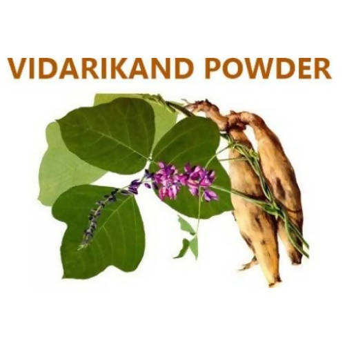 Himalaya Vidarikand Powder - Distacart