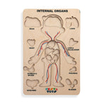 Thumbnail for Nesta Toys Human Body | Internal Organs Wooden Puzzle - Distacart