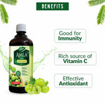 Thumbnail for Dabur Amla Juice Immunity Booster