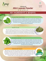 Thumbnail for Spag Herbals Premium Mint Leaf Powder - Distacart