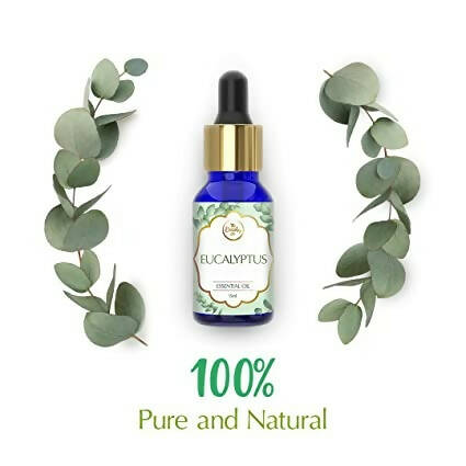 The Beauty Co. Eucalyptus Essential Oil - Distacart
