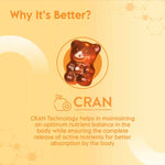 Thumbnail for Clensta Multi Vitamin Super Gummies - Distacart