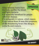 Thumbnail for Spag Herbals Amrutha Balli Giloy Powder - Distacart