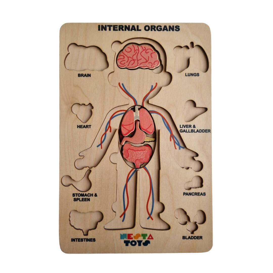 Nesta Toys Human Body | Internal Organs Wooden Puzzle - Distacart