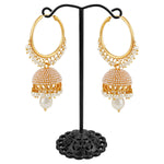 Thumbnail for Gold-Plated Alloy Pearl Studded Round Hoop Jhumki Earrings - The Pari - Distacart