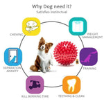 Thumbnail for The Dogs Company Natural Rubber Spiked Ball Dog Chew Toy - Distacart